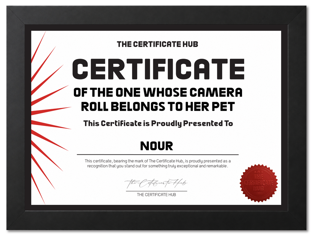 ONE WHOS CAMERA ROLL BELONGS TO HER PET